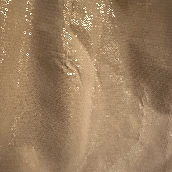 A New Day Shimmering Beige Mini Skirt - Picture 2 of 3